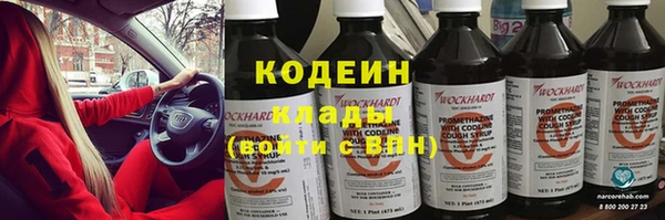 сатива Кодинск