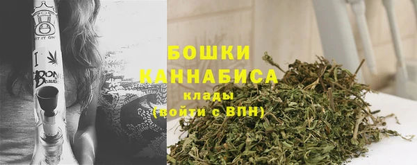 сатива Кодинск