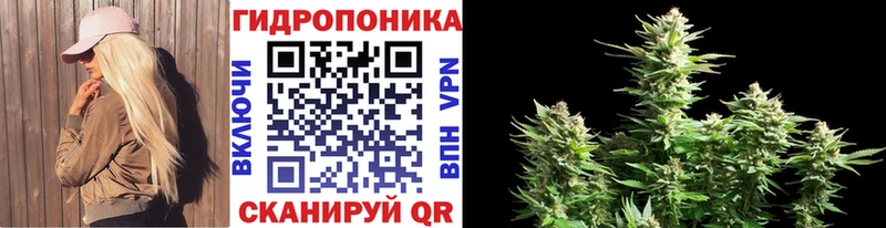 Марихуана марихуана  Купить где  Палласовка 